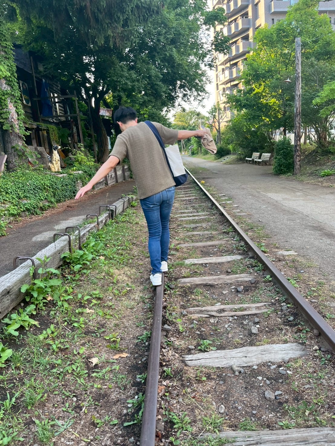 こもれいの活動写真